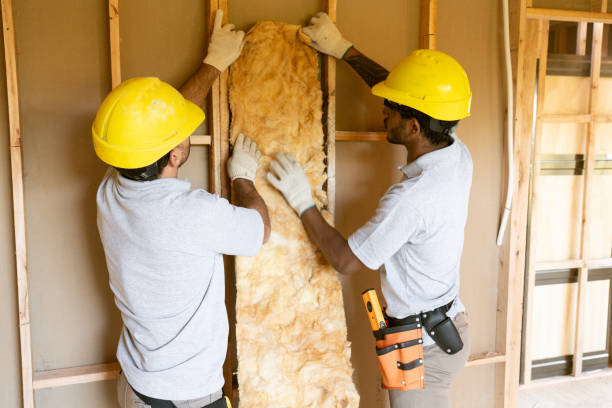 Best Eco-Friendly Insulation Solutions  in USA